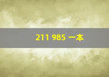 211 985 一本